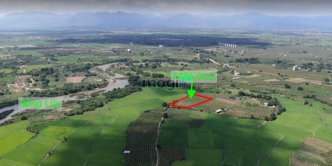 Hình ảnh Đất Bình Thuận, Cận Thị, Cận Giang, Cận Lộ, sổ sẵn