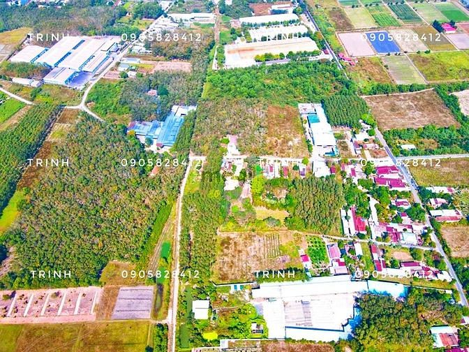 Hình ảnh 2 Lô đất vườn liền kề Củ Chi 100m2 giá chỉ 1Tỷ2