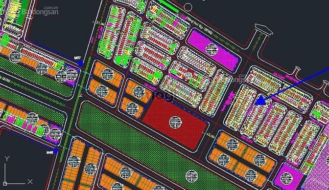 Hình ảnh Bán đất quảng trường biển Phường Trung Sơn, Sầm Sơn 75m2 giá 59tr/m2