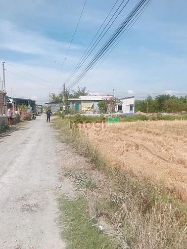 Hình ảnh cần bán 9 lô đất thổ cư gần cầu tam