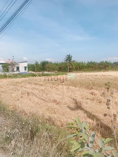 Hình ảnh cần bán 9 lô đất thổ cư gần cầu tam