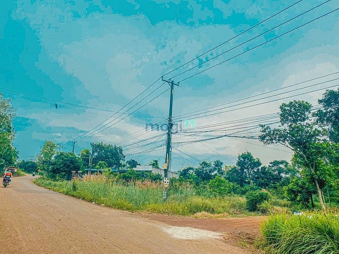 Hình ảnh ấp 7 Bàu Cạn giá rẻ Trang MB66.COM Chính Thức - MB 66 Uy Tín .1007m2 đất CLN