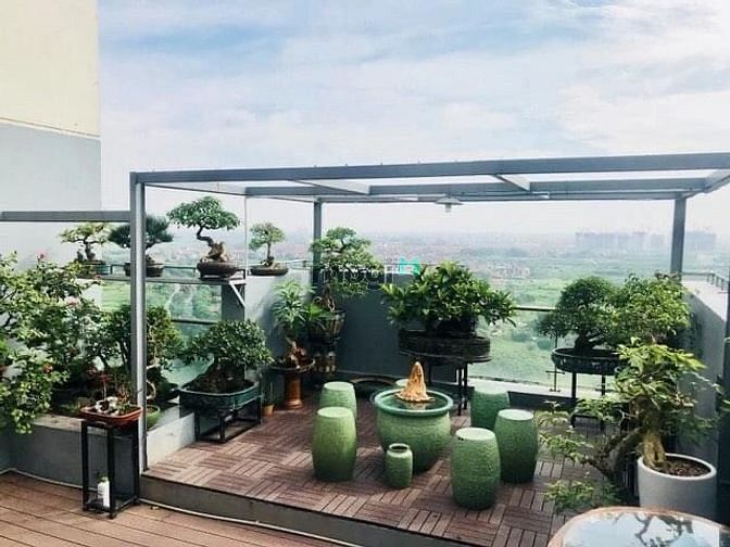 Hình ảnh Chính chủ CH cần bán Ricca MTĐ p.Phú hữu.Thủ Đức. Nằm TTTP thủ đức
