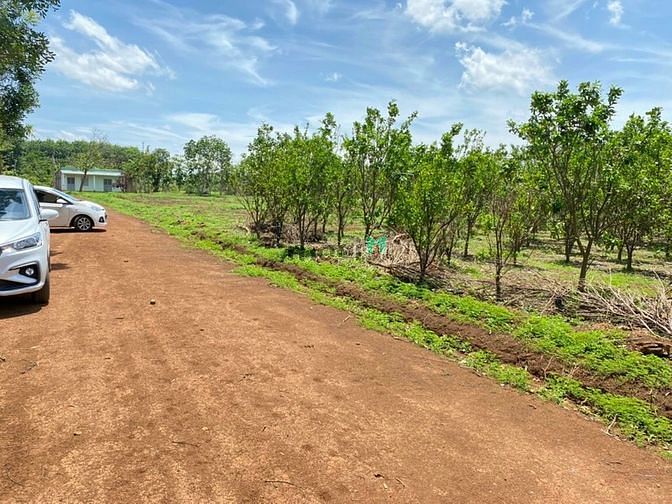 Hình ảnh 10 lô đất thổ cư Lộc Thạnh, Lộc Ninh, Bình Phước KCN Ledana