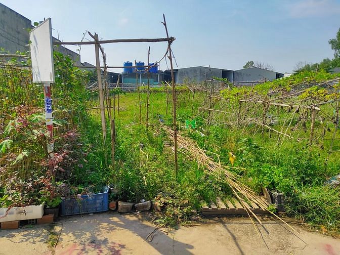 Hình ảnh Đất 420m2 thổ cư 100% tỉnh lộ 10 bình chánh,sổ hồng riêng