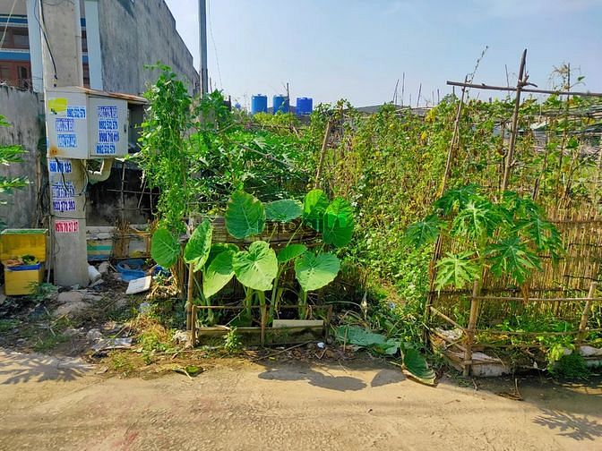 Hình ảnh Đất 420m2 thổ cư 100% tỉnh lộ 10 bình chánh,sổ hồng riêng