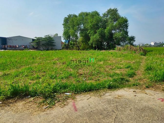 Hình ảnh Đất thổ cư 420m2(sổ hồng riêng)