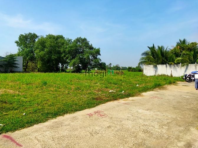 Hình ảnh Đất thổ cư 420m2(sổ hồng riêng)