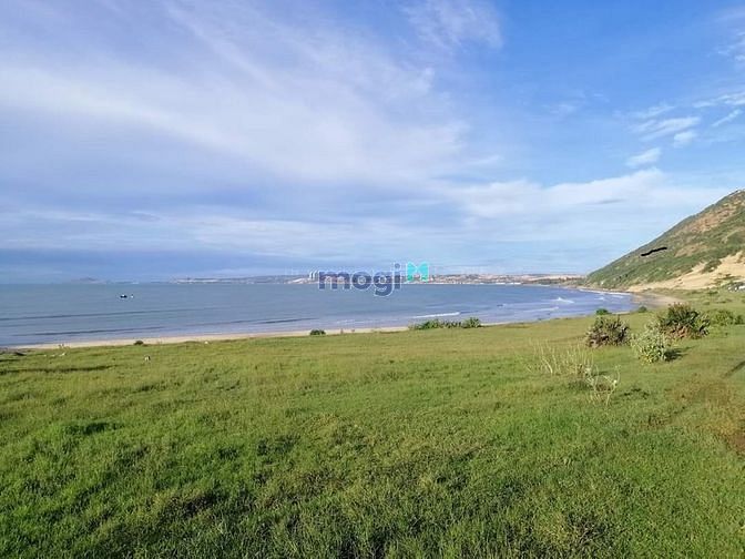 Hình ảnh Bán lô đất ONT cực hiếm – Mặt tiền đường nhựa – Cách Biển 1km