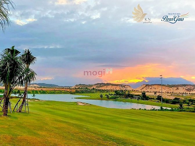 Hình ảnh Cần bán gấp nhanh lô đất 8x40m cách biển Bãi Dài 1,5km Giá 25tr/m2