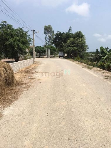 Hình ảnh Đất ngọc lẫm xã trường giang nông cống