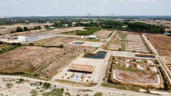 Hình ảnh Đất vườn 1162m2 đường ô tô mặt rạch xã Phước Khánh giá rẻ, shr