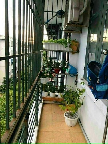 Hình ảnh Bán gấp Trang Chủ MB66.COM / Đăng Ký Tặng 66K 99M2, 3 PN, 2 WC, 468 Phan Văn Trị, P7, Qò Vấp
