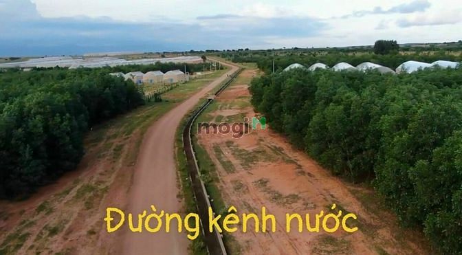 Hình ảnh Cần bán sổ 2 mặt tiền đường đất, gần khu dân cư cách 500m