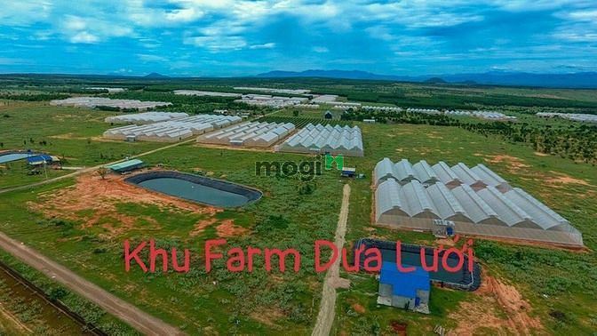 Hình ảnh Cần bán sổ 2 mặt tiền đường đất, gần khu dân cư cách 500m