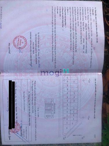 Hình ảnh Cần tiền bán 2 lô Biệt Thự KDC Thới An Q12 tp Hồ Chí minh