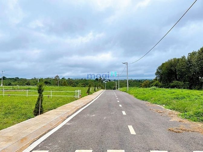Hình ảnh chỉ còn đúng 1 lô đất vàng tại lộc an ,bảo lâm ,lâm đông