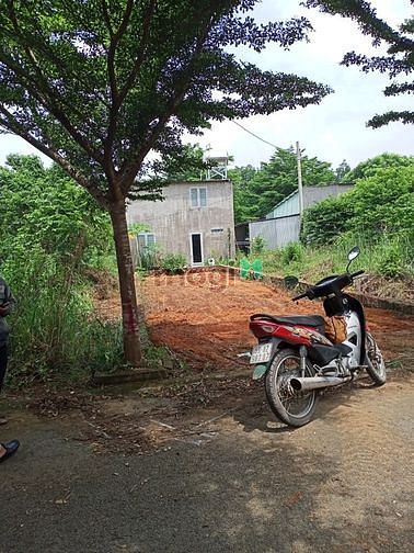 Hình ảnh Về quê bán gấp lô đất 200m2(10x20) SHR, dân cư đông, thổ cư 100%