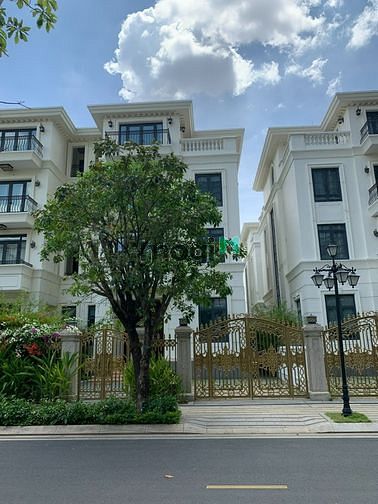 Hình ảnh Cần cho thuê Trang Chủ MB66.COM / Đăng Ký Tặng 66K Vinhome Bason 225m2