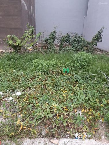 Hình ảnh Đất chính chủ full TC 100% đường Ngô Quang Thắm, DT 85m2