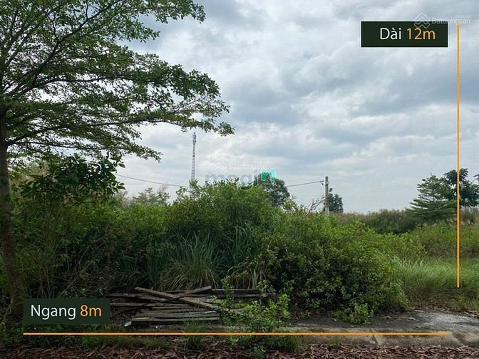 Hình ảnh Bán lô đất 8 * 12m, Nguyễn Văn Tạo, xã Long Thới, huyện Nhà Bè