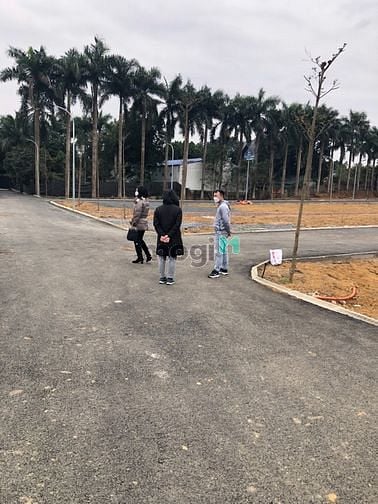 Hình ảnh Cần tiền bán gấp lô đất gần Đại lộ thăng long Hà Nội.