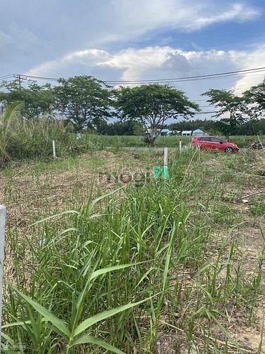 Hình ảnh Chủ cần bán lô đất MT Ngô Quang Thắm, giá tốt Trang MB66.COM Chính Thức - MB 66 Uy Tín