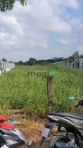 Hình ảnh Bán 1125m2 đất thổ vườn mặt tiền đường 12 tại Nhà Bè