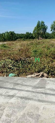 Hình ảnh Đất vườn 11 x 90m CN 1000 m2 - đường xe hơi,Gò Me Hiệp Phước - 2.9 ty