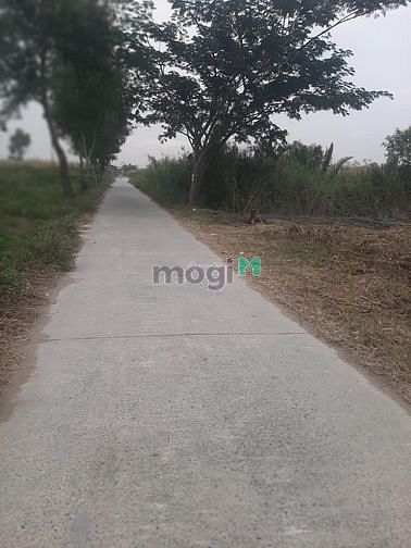 Hình ảnh Bán đất Đường 12, Long Thới, DT 1000m2, giá 7,7 tỷ