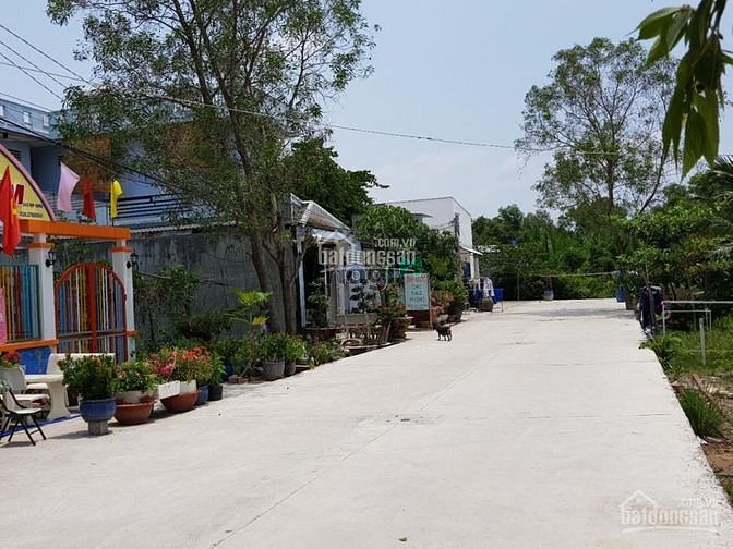 Hình ảnh Cần bán lô đất thổ cư 8x20m, sau lái xe Thành Công