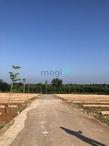 Hình ảnh Bán đất nền sổ riêng từng nền sang tên công chứng ngay