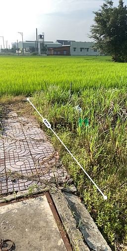 Hình ảnh ae môi gioi hợp tác đất chinh chủ