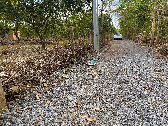 Hình ảnh Đất Định Quán - Đồng Nai , bao các phí giấy tờ
