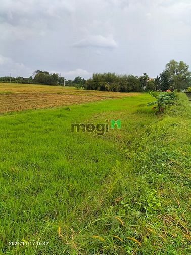 Hình ảnh Bán đất 2 mặt tiền 1 xẹc tỉnh lộ 7 - 14.000m2 quy hoạch kdc
