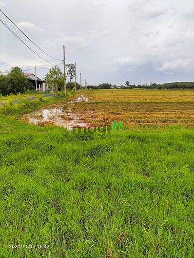 Hình ảnh Bán đất 2 mặt tiền 1 xẹc tỉnh lộ 7 - 14.000m2 quy hoạch kdc