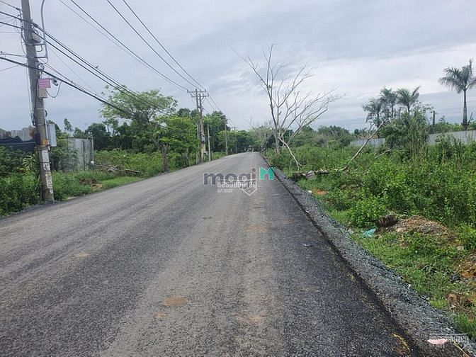 Hình ảnh 3 lô đất vườn đường Xương Cá 2, Long Thới, Nhà Bè