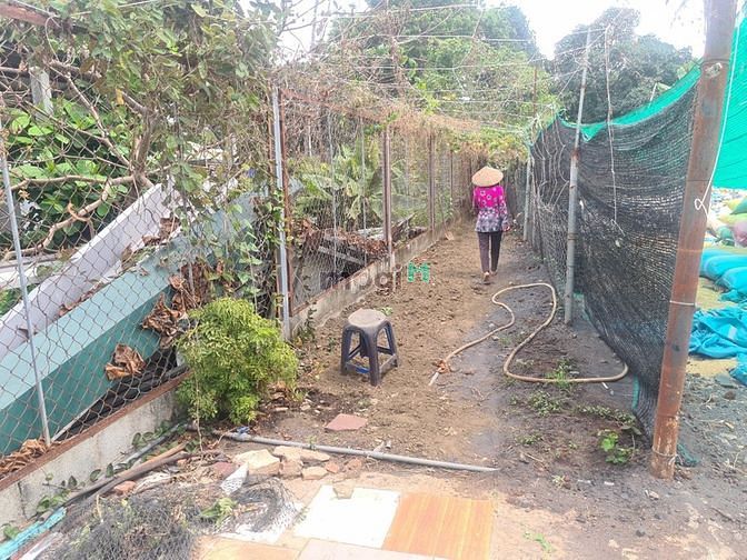 Hình ảnh Cho thuê xưởng nhỏ 1 sẹc QLo1A quận 12