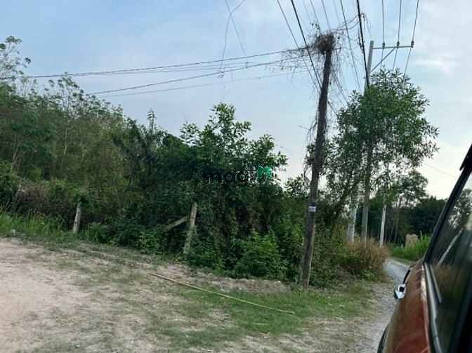 Hình ảnh Chính chủ nên cần bán đất vườn củ chi