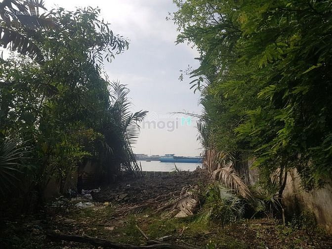 Hình ảnh Bán đất thổ cư Huỳnh Tấn Phát, Nhà Bè. 254 m²