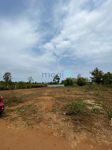 Hình ảnh Đất khu vực buôn tara - shr - khu dân cư đông đúc