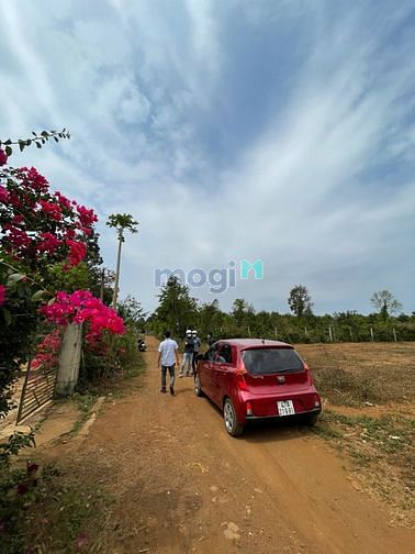 Hình ảnh Đất khu vực buôn tara - shr - khu dân cư đông đúc
