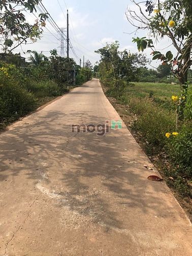 Hình ảnh Đất xào mặt tiền đường bê tông ấp 5 ngã tư vĩnh tân vĩnh cửu