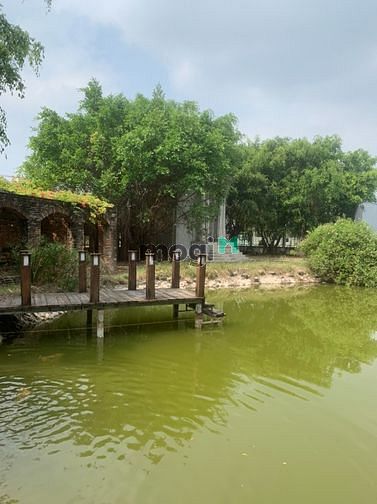 Hình ảnh Cho thuê 4300m2 đất Trường Lưu - Quận 9 - 15k/m2