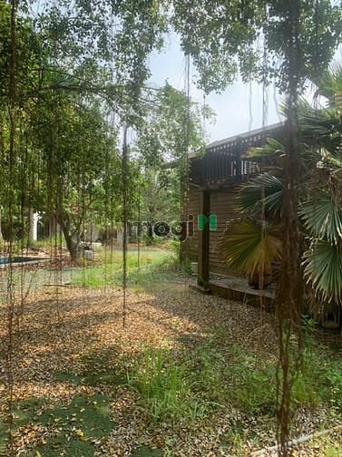 Hình ảnh Cho thuê 4300m2 đất Trường Lưu - Quận 9 - 15k/m2