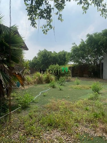 Hình ảnh Cho thuê 4300m2 đất Trường Lưu - Quận 9 - 15k/m2