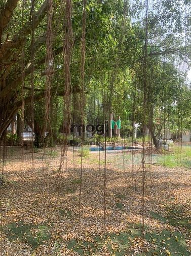Hình ảnh Cho thuê 4300m2 đất Trường Lưu - Quận 9 - 15k/m2