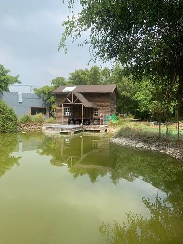 Hình ảnh Cho thuê 4300m2 đất Trường Lưu - Quận 9 - 15k/m2