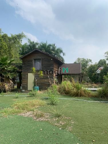 Hình ảnh Cho thuê 4300m2 đất Trường Lưu - Quận 9 - 15k/m2