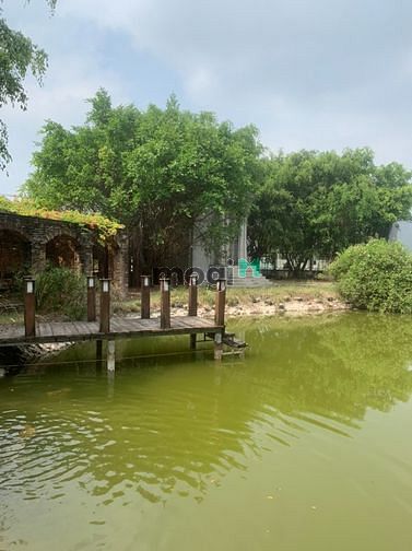 Hình ảnh Cho thuê 4300m2 đất Trường Lưu - Quận 9 - 15k/m2